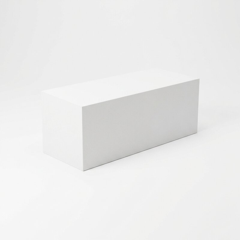 Bloc béton cellulaire 50×25×20